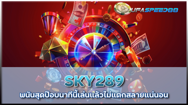 SKY289